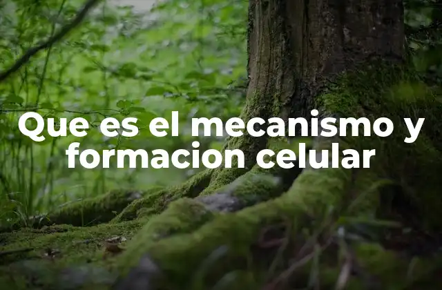 Los pilares de la organización celular