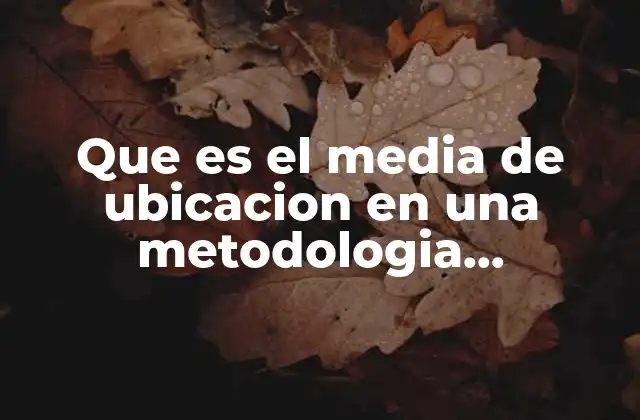 Que es el Media de Ubicacion en una Metodologia Arquitectura