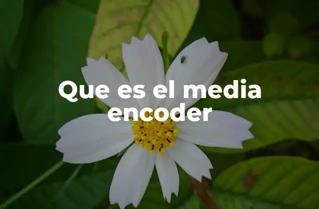 Que es el Media Encoder