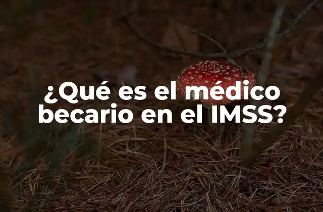 ¿qué es el Médico Becario en el Imss?