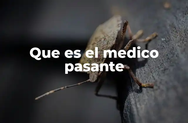 Que es el Medico Pasante