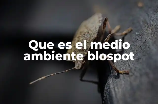 Que es el Medio Ambiente Blospot