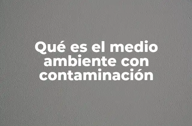 Qué es el Medio Ambiente con Contaminación