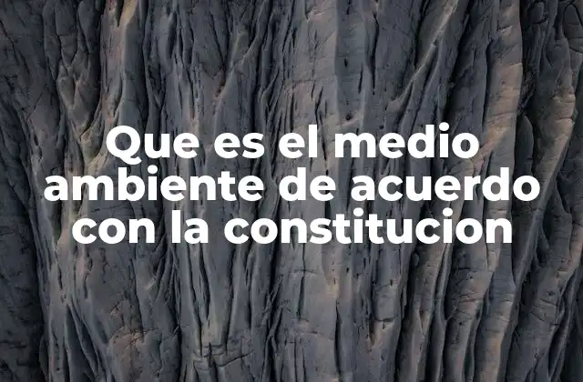 Que es el Medio Ambiente de Acuerdo con la Constitucion