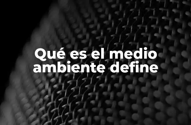 Qué es el Medio Ambiente Define