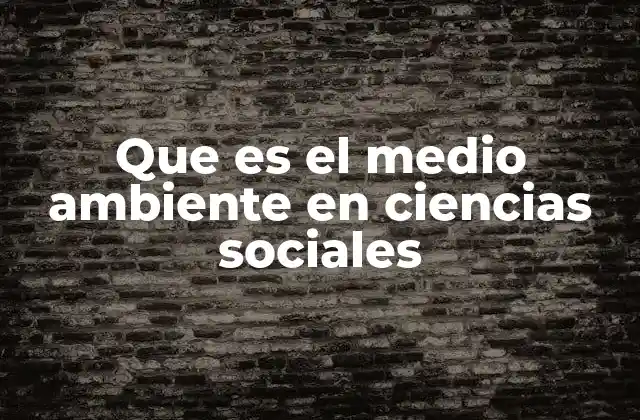 Que es el Medio Ambiente en Ciencias Sociales