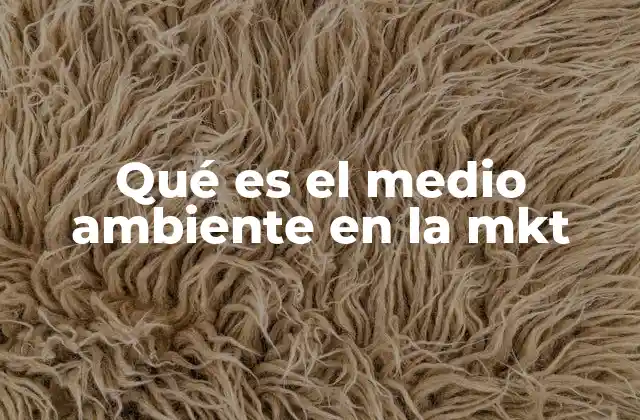 Qué es el Medio Ambiente en la Mkt