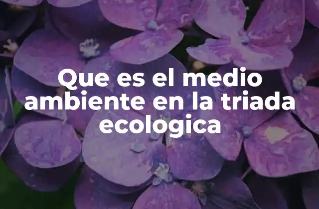 Que es el Medio Ambiente en la Triada Ecologica