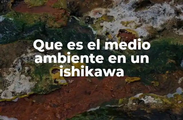 Que es el Medio Ambiente en un Ishikawa
