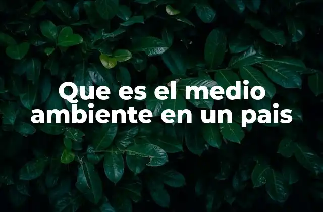Que es el Medio Ambiente en un Pais