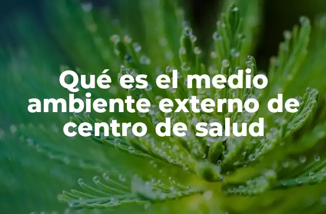 Qué es el Medio Ambiente Externo de Centro de Salud