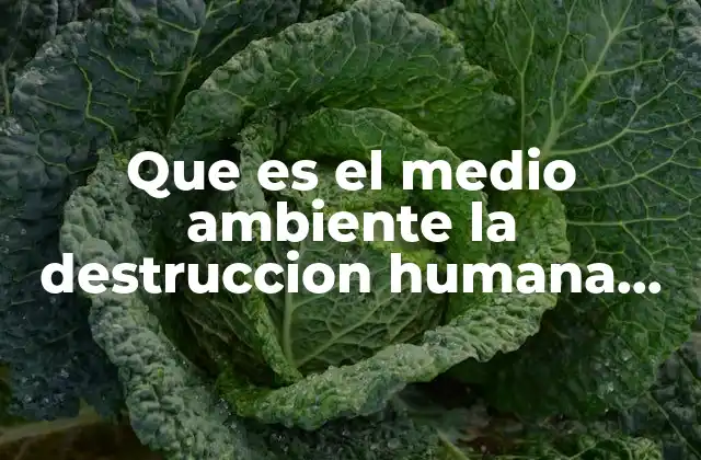 Que es el Medio Ambiente la Destruccion Humana Mexico