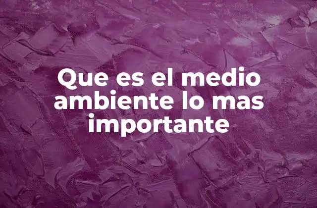 Que es el Medio Ambiente Lo mas Importante