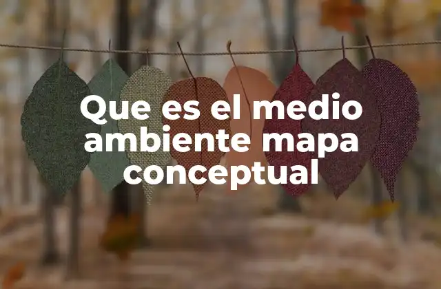 Que es el Medio Ambiente Mapa Conceptual