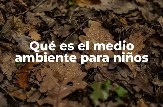 Qué es el Medio Ambiente para Niños