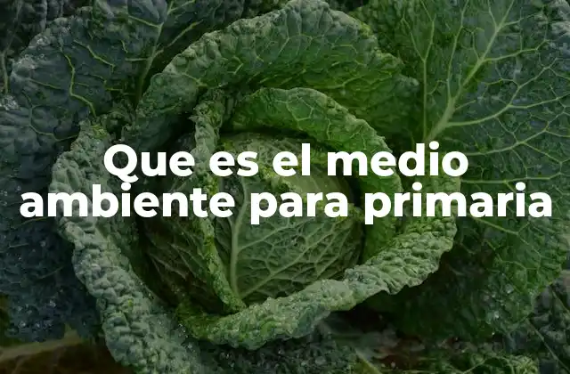 Que es el Medio Ambiente para Primaria