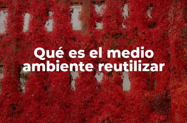 Qué es el Medio Ambiente Reutilizar