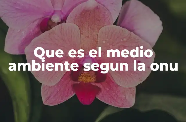 Que es el Medio Ambiente Segun la Onu