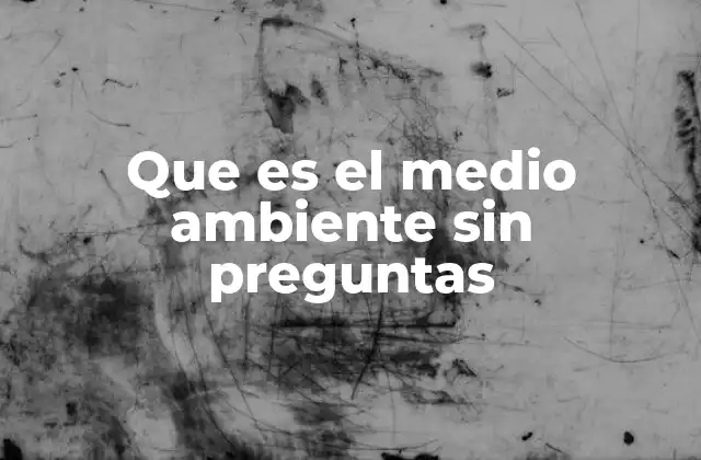 Que es el Medio Ambiente sin Preguntas