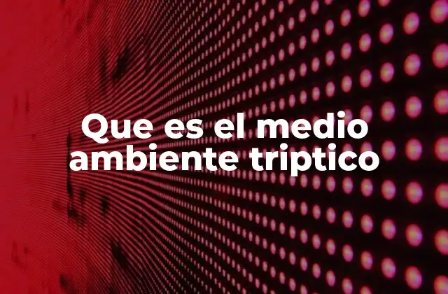 Que es el Medio Ambiente Triptico