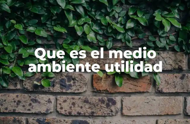 Que es el Medio Ambiente Utilidad