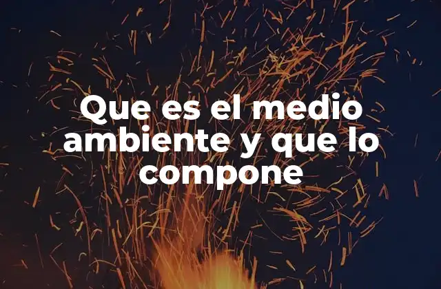 Que es el Medio Ambiente y que Lo Compone 2 La interdependencia de los elementos naturales en nuestro entorno