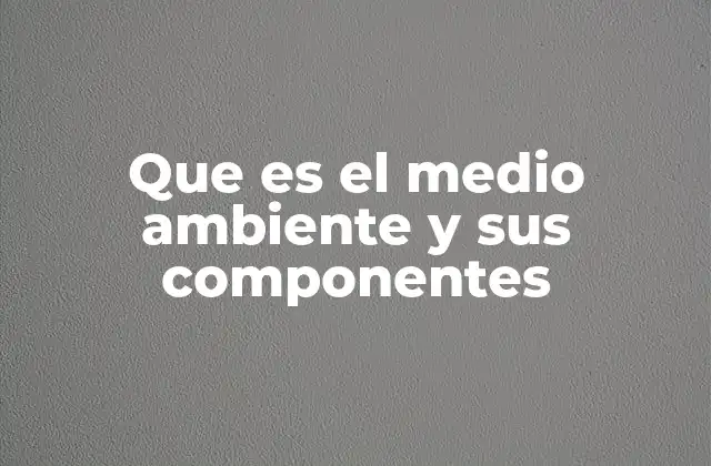 Que es el Medio Ambiente y Sus Componentes 2 Componentes esenciales que conforman el entorno natural