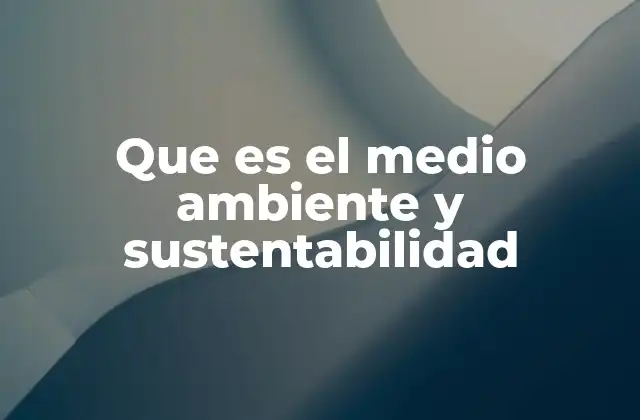 Que es el Medio Ambiente y Sustentabilidad
