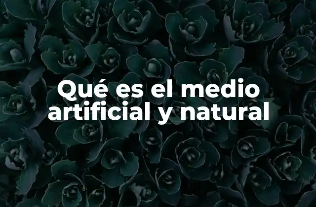 Qué es el Medio Artificial y Natural