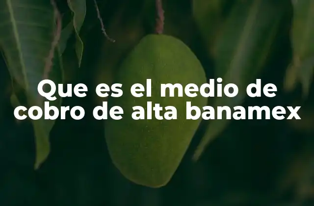 Que es el Medio de Cobro de Alta Banamex