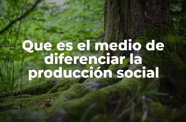 Que es el Medio de Diferenciar la Producción Social