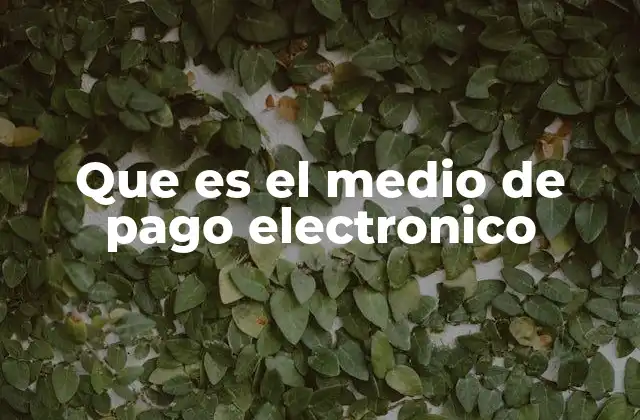 Que es el Medio de Pago Electronico