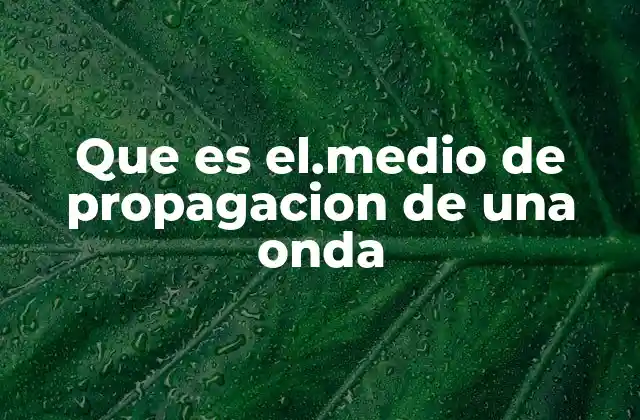 Que es El.medio de Propagacion de una Onda