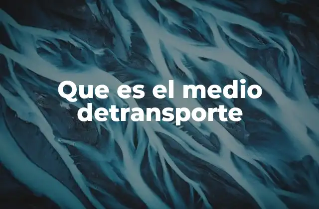 Que es el Medio Detransporte
