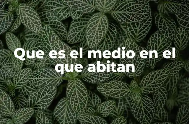 Que es el Medio en el que Abitan