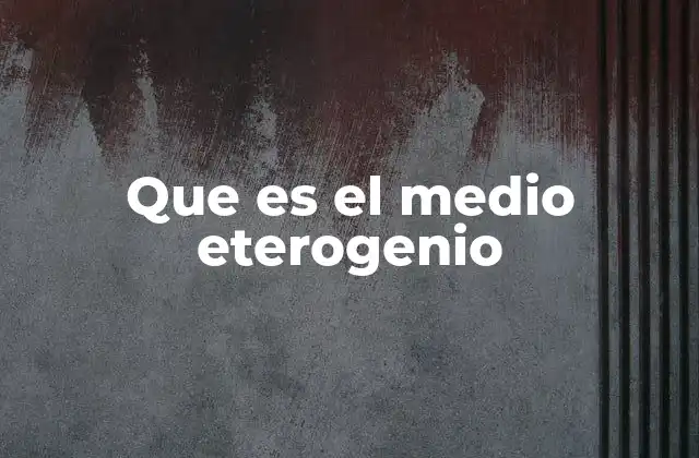 Características de un medio heterogéneo