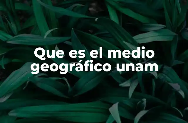 Que es el Medio Geográfico Unam