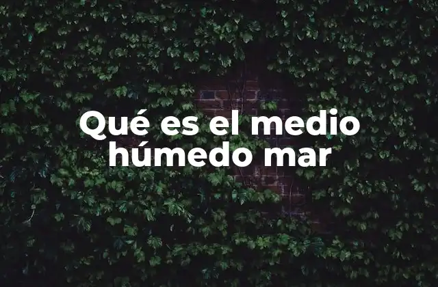 Qué es el Medio Húmedo Mar