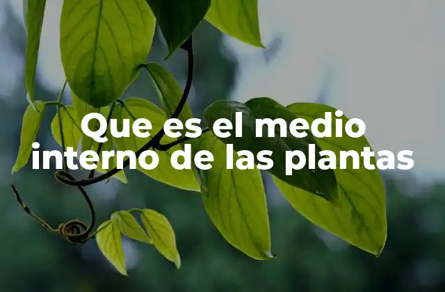 Que es el Medio Interno de las Plantas