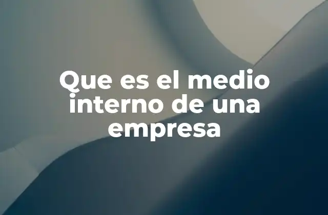 Que es el Medio Interno de una Empresa