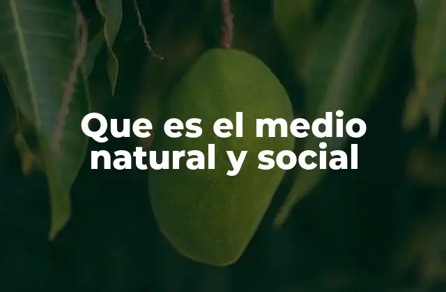 Que es el Medio Natural y Social