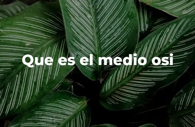 El papel del medio en la comunicación de datos