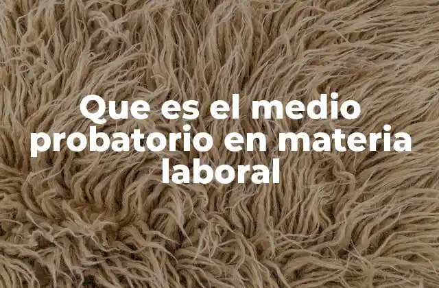Que es el Medio Probatorio en Materia Laboral