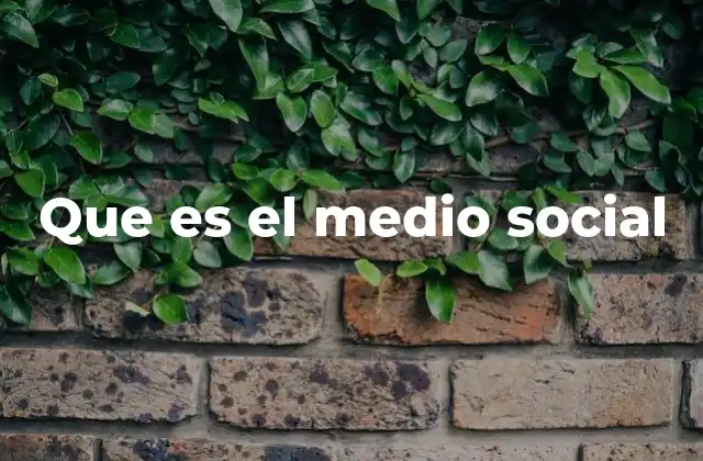 Que es el Medio Social