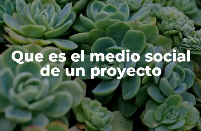 Que es el Medio Social de un Proyecto