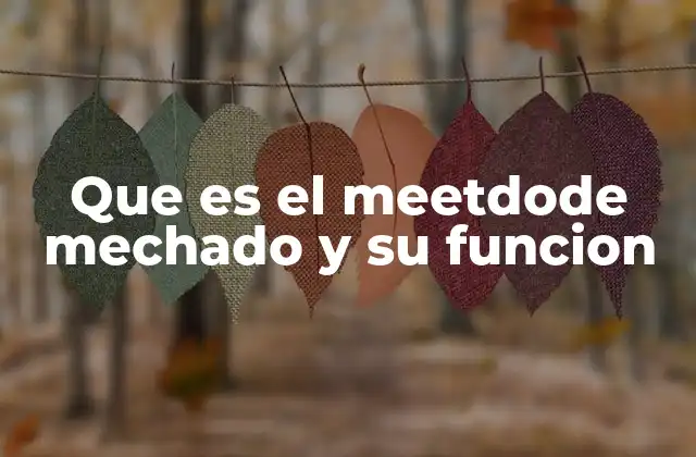 Que es el Meetdode Mechado y Su Funcion