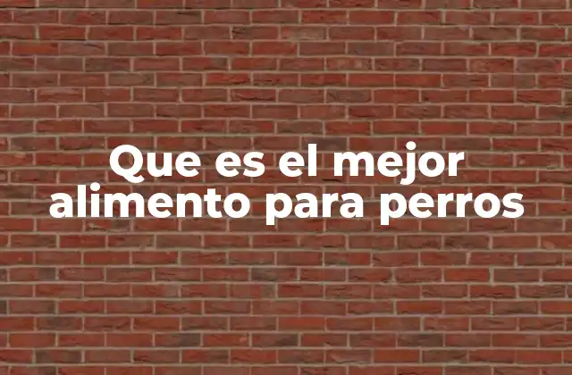 Que es el Mejor Alimento para Perros