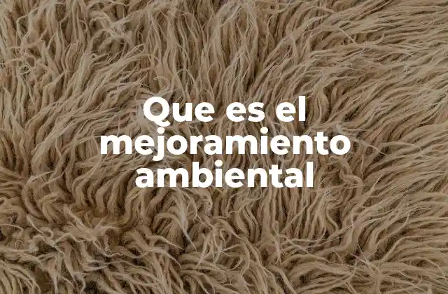 Que es el Mejoramiento Ambiental