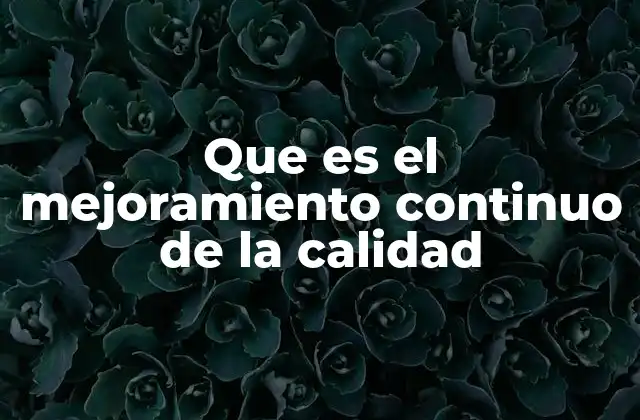 Que es el Mejoramiento Continuo de la Calidad