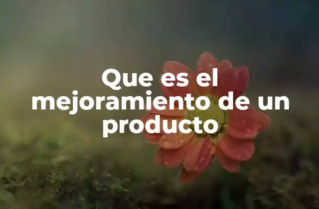 Que es el Mejoramiento de un Producto